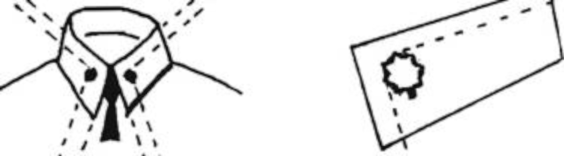 GS12 and 13.jpg FWS.gov